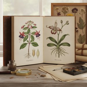 Nature's Precision: The Art and History of Botanical Illustration