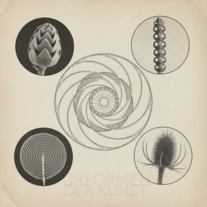 Karl Blossfeldt's 'Urformen der Kunst': Pioneering Botanical Photomicrography & Aesthetic Form