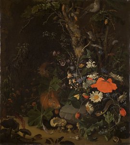 anna elisabeth ruysch