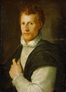 cornelis cort