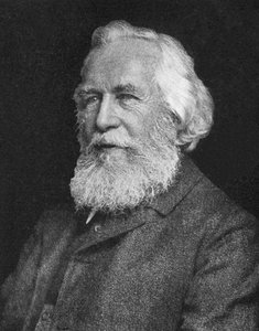 ernst heinrich philipp august haeckel