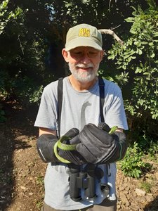 pd dr. mark-oliver rödel