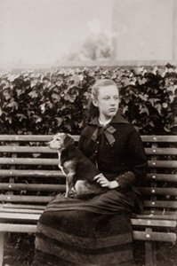 rosalie chichester