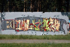Petro Aesthetics, Ilya Slak