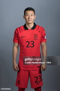 kim tae hwan