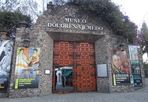 dolores olmedo patiño museum