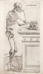 Skeleton — Andreas Vesalius