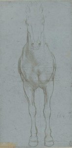 Un Estudio De Un Caballo — Leonardo Da Vinci