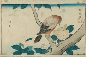 Sparrowhawk And Camellia — Kitao Shigemasa