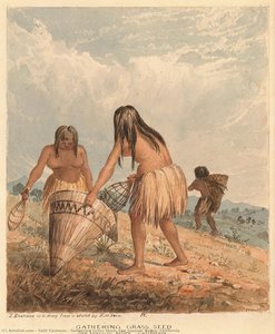Gathering Grass Seed, San Joaquin Valley, California — Seth Eastman