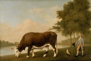 L'ox Du Lincolnshire — George Stubbs