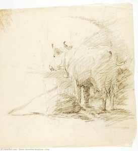 Cow — Solon Hannibal Borglum