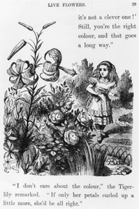 Tiger Lily - — Sir John Tenniel
