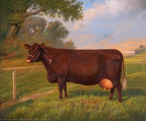 Royal Mavis — William Albert Clark