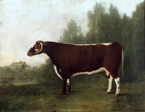 'garrick' A Bullock — John Boultbee