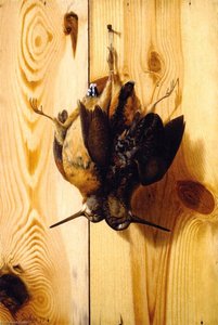 Hanging Woodcock — George Cope