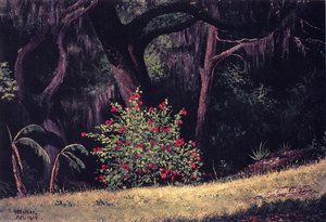 Woodland Scene With Red-flowered Bush — William Aiken Walker