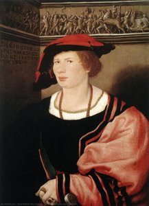 Портрет Benedikt Von Hertenstein — Ганс Гольбейн Младший