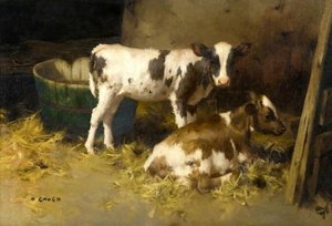 To Køer — David Gauld