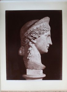 Ludovisi Museum. Juno Ludovisi: Head Of Antonia Minor (?). Side View — Domenico Anderson