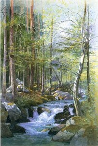 Torrent In Wood Behind Mill Dam, Vahrn Near Brixen, Tyrol — William Stanley Haseltine