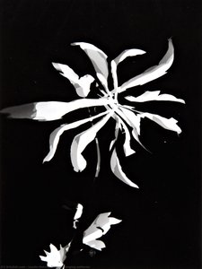 Changing Patterns — László Moholy-nagy