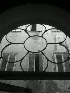 "rose Window" — Alfred Freddy Krupa