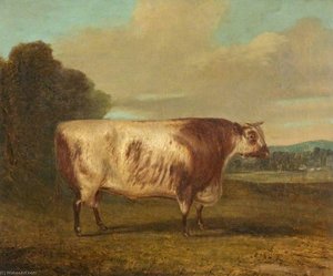 A Bull — Richard Whitford