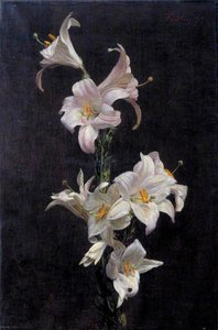 White Lilies — Henri Fantin-latour