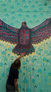 Red Tail Hawk — Jason Pawley