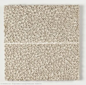 Relief 351 — Sergio Andres Camargo Peñaranda