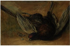 A Cock Pheasant — David Cox