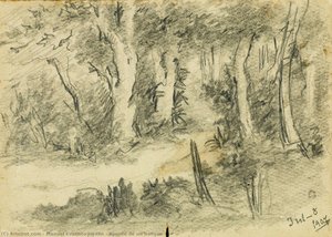 Apunte De Un Bosque — Manuel Evaristo Jordán
