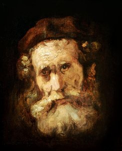 Study Of The Head Of A Bearded Old Man — Rembrandt Harmenszoon Van Rijn