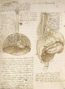 Koyunlu Kuşlar — Leonardo Da Vinci