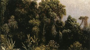 Forest Study, Brazil — Martin Johnson Heade