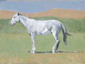 Untitled Horse Study 5 — Frederic Remington
