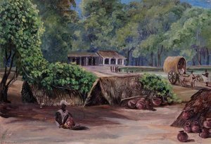 Native Huts Near Tanpori, India — Marianne North