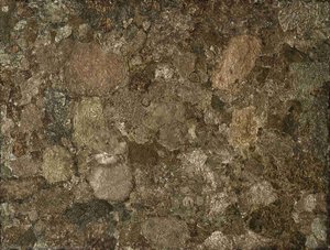 Life Without The Man Iii — Jean Philippe Arthur Dubuffet