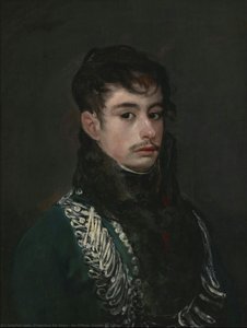 An Officer (conde De Teba?) — Francisco José De Goya Y Lucientes