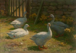 Geese In A Farmyard — John Murray Thomson