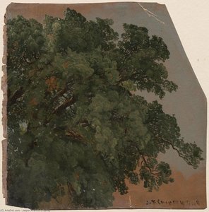 Foliage, Branches Of Tree — Jasper Francis Cropsey