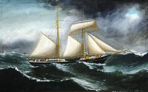 'jane Knox' (foul Weather) — Reuben Chappell