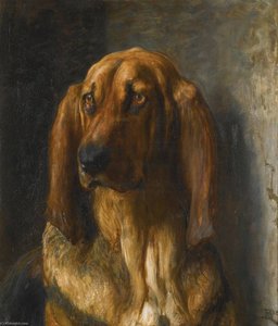 Sir Lancelot, A Bloodhound — ბრიტონ რივერი