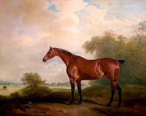 Mr Green's Bay Mare — Sr John E Ferneley