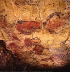 Photograph Of The Policrome Ceiling Of The Cave Of Altamira — Pedro Saura Atarés
