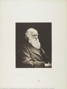 Portrait, Photogravure, Charles Darwin / Photograp — Photographische Gesellschaft Berlin