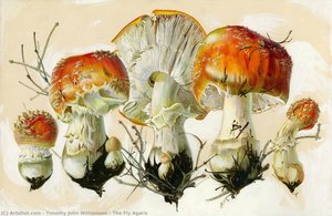 The Fly Agaric — Timothy John Williamson