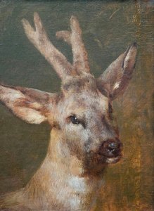 Head Of Roebuck — Rosa Bonheur