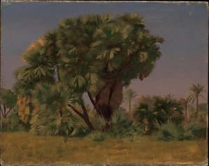 Study Of Palm Trees — Jean Léon Gérôme Ferris